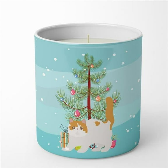 3.75 x 3.25 in. Unisex Exotic Shorthair No.4 Cat Merry Christmas 10 oz Decorative Soy Candle