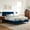 Navy, variant on Modway Sofia Channel Tufted Performance Velvet Full Platform Bed in White