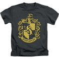 thumbnail image 1 of Harry Potter Girls Hufflepuff Cotton T-Shirt, 1 of 5