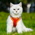 thumbnail image 4 of WHAMVOX Body Leash With Vest For Pet Orange Cloth Gentlemen Style 1 Set, 4 of 8