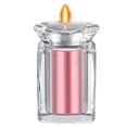 thumbnail image 1 of SIfdSeng Transparent Keepsake Memorial for Small Cats Storage Container, 1 of 3