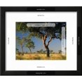 thumbnail image 3 of Acacia Trees, Kruger National Park, South Africa, Botanical Framed Art Print Wall Art by Walter Bibikow Sold by Art.Com, 3 of 6