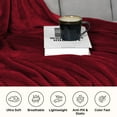 thumbnail image 6 of IR Imperial Rooms Fleece Bed Blanket 310 GSM Microfiber Lightweight Warm Winter Blanket Fluffy Cozy Plush Throw Burgundy Twin Size, 6 of 15