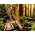 thumbnail image 4 of Andy Amos 14x12 Black Modern Wood Framed Wall Art Titled - Nature Hiking Trail, 4 of 6