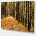 thumbnail image 2 of Dense Autumn Forest Woods - Modern Forest Canvas Art, 2 of 4