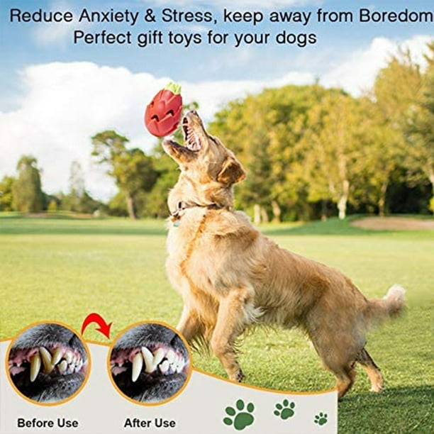 Greswe Play with High Quality Dog Chew Toys