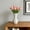 A, variant on Decorative Vase - Modern Boho Style Ribbed Plastic Bud Vases for Flowers, Mini Small Vases for Shelf, Shelves, Bookshelf, Entryway Table & Home Decor Aesthetic