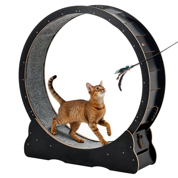 CAFORKP 48 in Large Wooden Cat Exercise Wheel – Quiet Indoor Running Treadmill