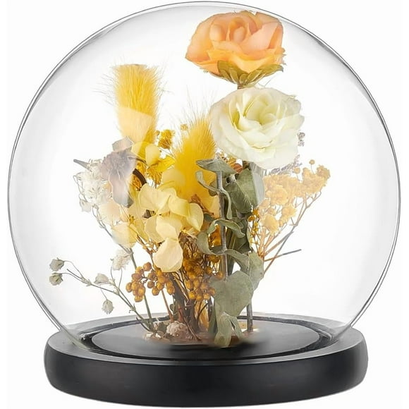5.9 Inch Glass Display Dome Cloche with Black Wood Base Decorative Jar for Crafts Flowers Party Favors