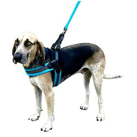 Sporn Easy Fit Dog Harness Blue - Small 1 count