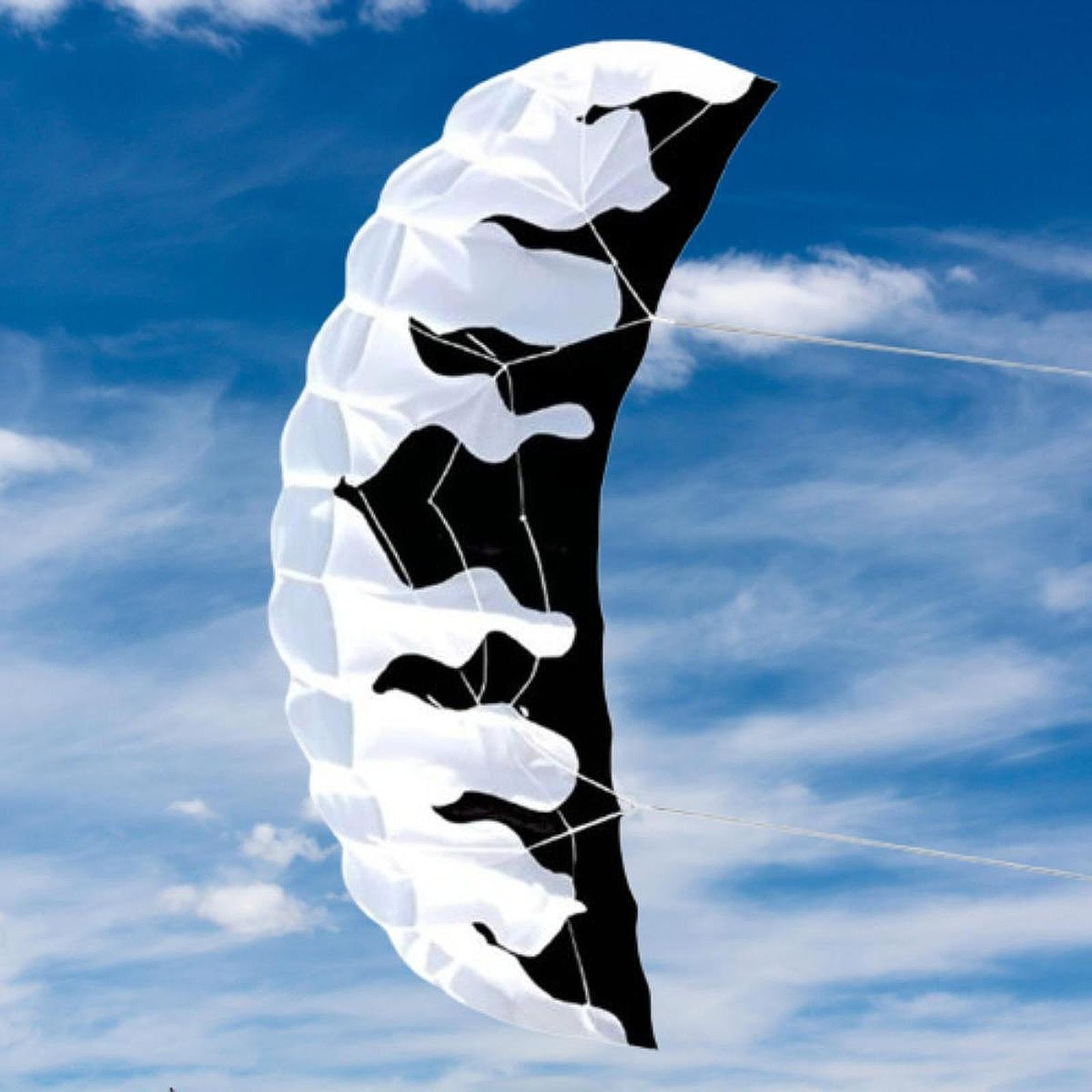 harayaa 2M Outdoor Parafoil Kite Two Line Kite, 30M Line, Seaside Beach Toy for Outdoor Black White