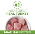 thumbnail image 2 of fuzhong-+Plus Nourriture Sèche pour Chat, Intérieur Avantage Dinde - Sac de 3 kg, 2 of 4