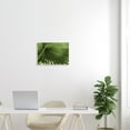 thumbnail image 2 of Stupell Industries Close Up Palm Leaf Lush Green Tropical Plant Photograph Unframed Art Print Wall Art, Design by Graffitee Studios, 2 of 6