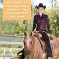 thumbnail image 5 of Knotty Horse Apricot Oil Conditioning Shampoo, 5 of 7