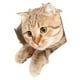 thumbnail image 4 of Pegatina para Inodoro de Gato de Dibujos Animados, Mural para Asiento de Inodoro, Pegatina Divertida para Tapa de Inodoro Impermeable, Pegatina Divert 21cmx23cm, 4 of 8