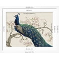 thumbnail image 5 of Art.com Peacock and Blossoms II Art Print by Tim O'toole, White Frame Wall Art, 40" x 32", 5 of 5