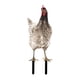thumbnail image 1 of Estatua de gallo para jardín, porche, patio, gallina, adorno para césped Estilo E, 1 of 9