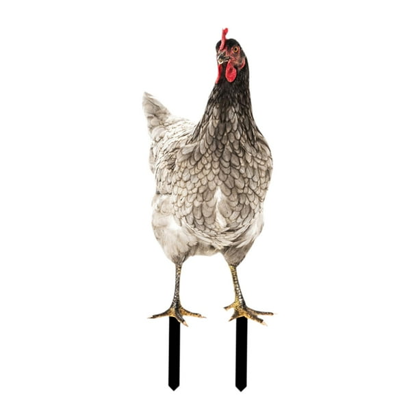 Estatua de gallo para jardín, porche, patio, gallina, adorno para césped Estilo E