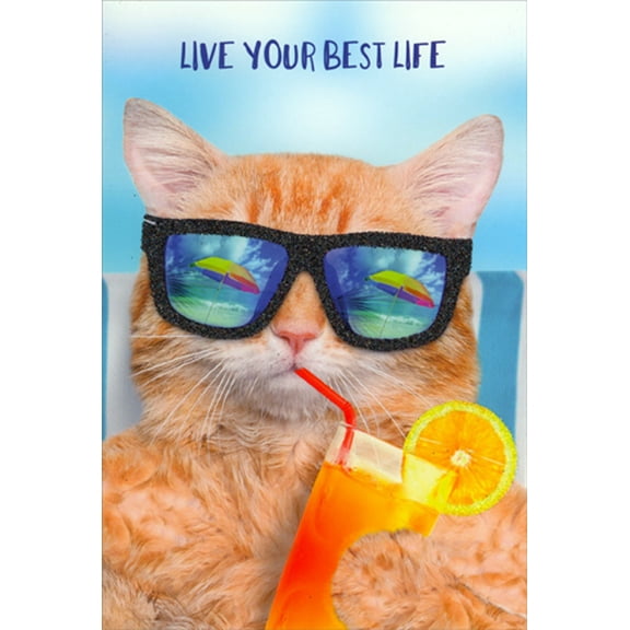 Pictura Live Your Best Life : Cat in Sunglasses Cute Birthday Card