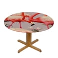 thumbnail image 3 of JEUXUS  Pink Flamingos Round Table Cloth, Elastic Edged Fitted Table Cover Decor Tablecloths for Dinner, Picnic, Party, 3 of 7