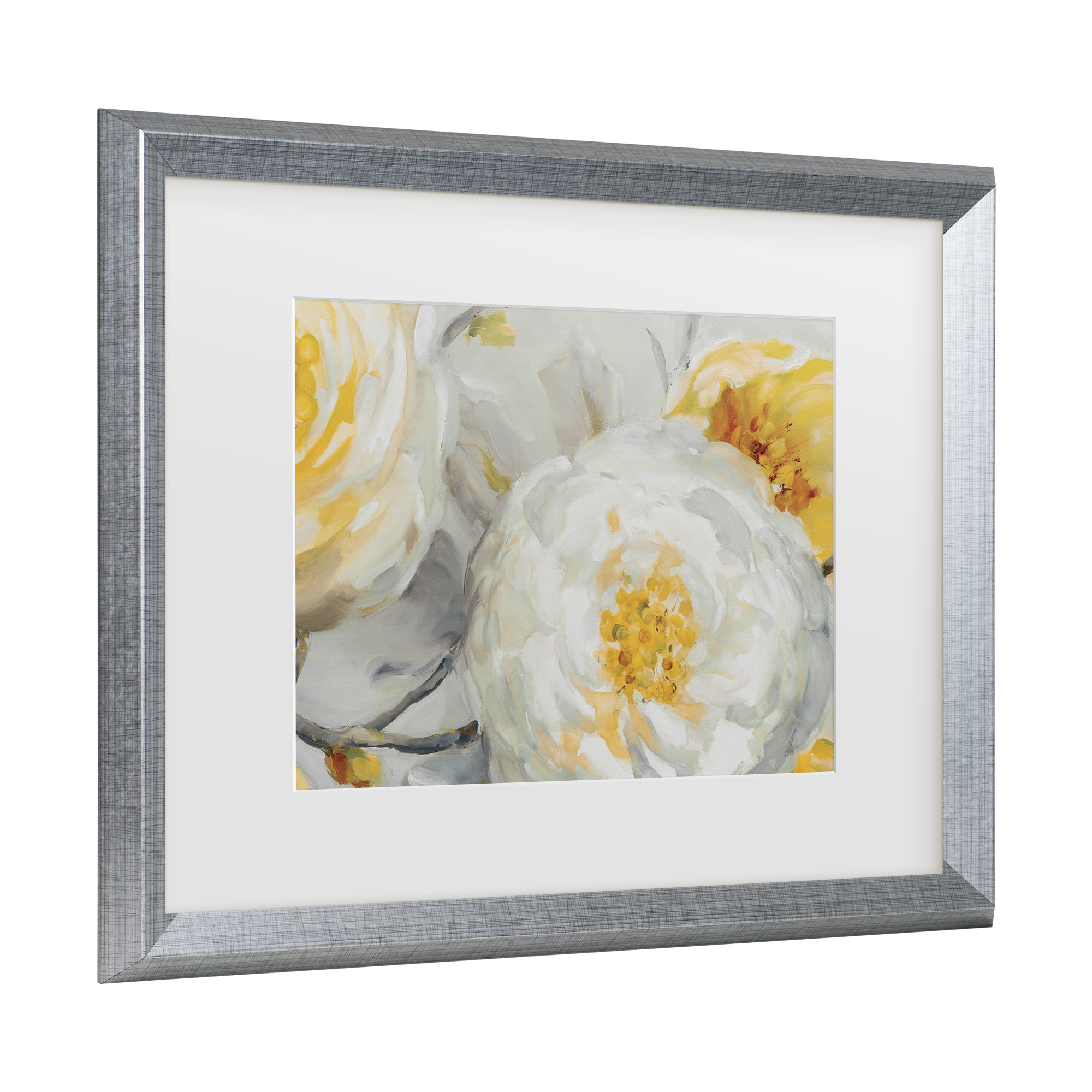 Trademark Fine Art 'Sunshine' Canvas Art by Lisa Audit