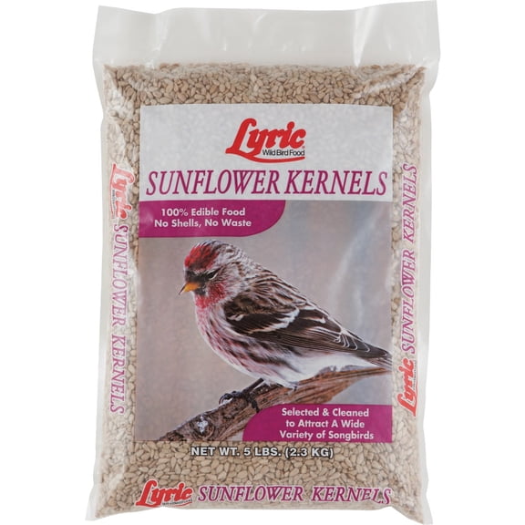 Lebanon Seaboard Sunflower Seed Kernel Bird Food - For Finches - 5 lbs