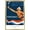 Gold Framed Version, variant on Team USA - Amsterdam 1928. Games of the IX Olympiad. Wall Poster, 22.375" x 34"