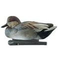 thumbnail image 4 of Avian X Topflight Gadwall Decoys Realistic Gray Duck, Set of 12, Multicolor, 4 of 6