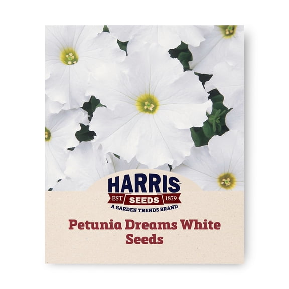 Harris Seeds Petunia Dreams White F1, Grandiflora White Blooms for Garden Beds and Containers, 50 Count