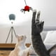 thumbnail image 4 of Felines F U N Columpio Para Gatos Columpio Para Gatos Fácil De Instalar Juguete Para Gatos Alivia Las Tensiones De Tu Peludo Amigo, 4 of 8