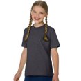 thumbnail image 1 of Hanes T-Shirt en Coton pour Enfant Authentique Sans Étiquette, L, Gris Fumée, 1 of 1