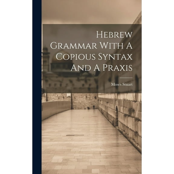 Hebrew Grammar With A Copious Syntax And A Praxis (Hardcover)