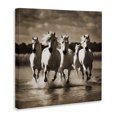 thumbnail image 3 of Stupell Industries Rustic Lodge Camargue Stallions Trotting Canvas Art, 17 x 17, by Noah Bay, 3 of 8