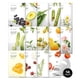 thumbnail image 1 of Mascarilla facial Nature Republic Real Nature, paquete de 14, 1 of 6