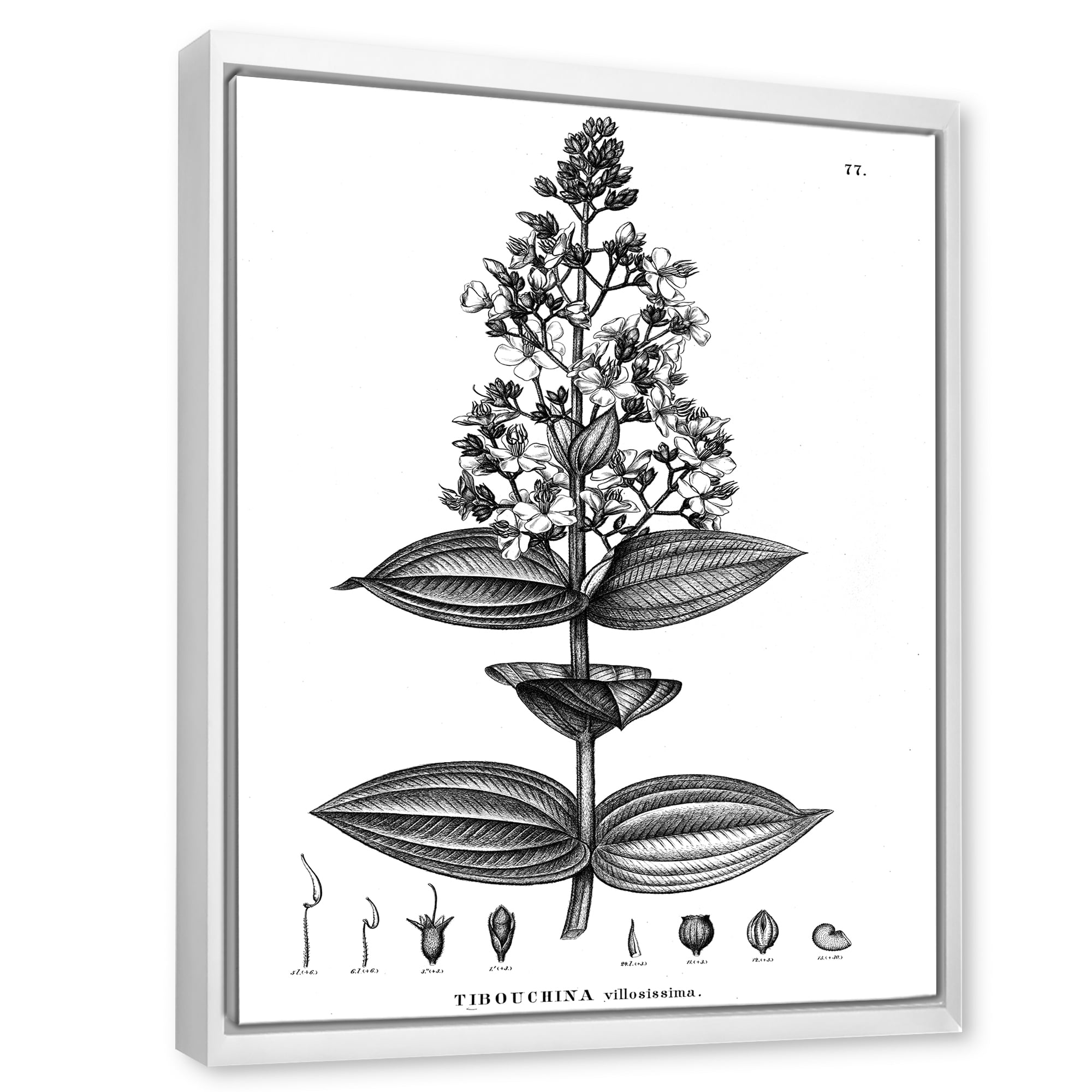 Ancient American Flora VI 12 in x 20 in Framed Painting Canvas Art Print, by Designart
