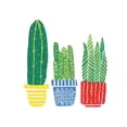 thumbnail image 2 of Serna, Isabel 20x24 White Modern Wood Framed Museum Art Print Titled - Cactus I, 2 of 4