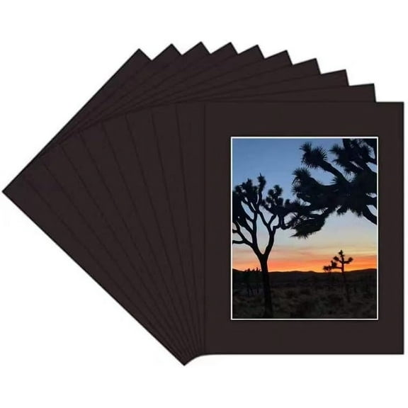 skyDrama 11x14 Black Picture Mats with Core Bevel Cut Frame Mattes for 8x10 Pictures - Pack of 10