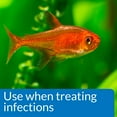 thumbnail image 5 of API Pimafix Treats Fungal Infections for Freshwater and Saltwater Fish [Aquarium Bacteria and Fungus Care, Aquarium Supplies] 4 oz, 5 of 7