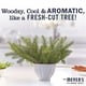 thumbnail image 4 of Set de jabón Mrs. MEYER'S CLEAN DAY Iowa Pine 370 ml 500 ml, 4 of 9