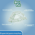 thumbnail image 2 of Pañal Gde P/Macho Dry Pet 12 pz, 2 of 2