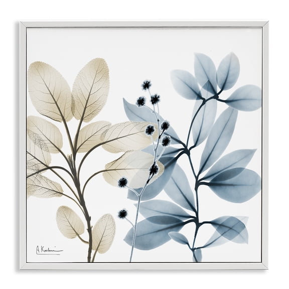 Stupell Industries Scandinavian Blue & Beige Plants White Framed Giclee Art, 17 x 17, by Albert Koetsier
