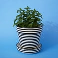 thumbnail image 2 of Black Striped Ceramic Planter Set, 2 of 4