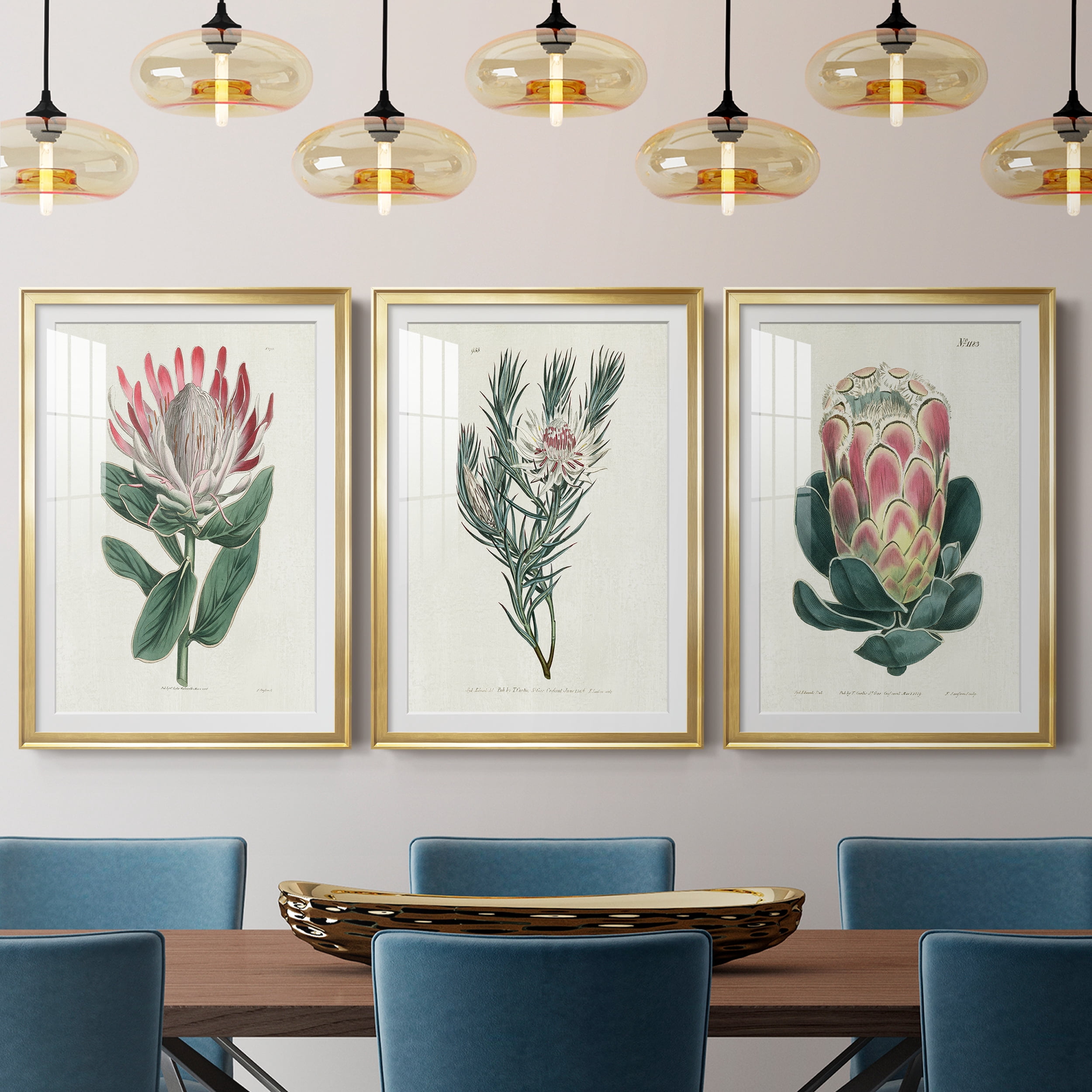 Protea N13 Premium Framed Prints Set of 3 - Ready to Hang - 30.5 x 42.5 Each - Gold Frame
