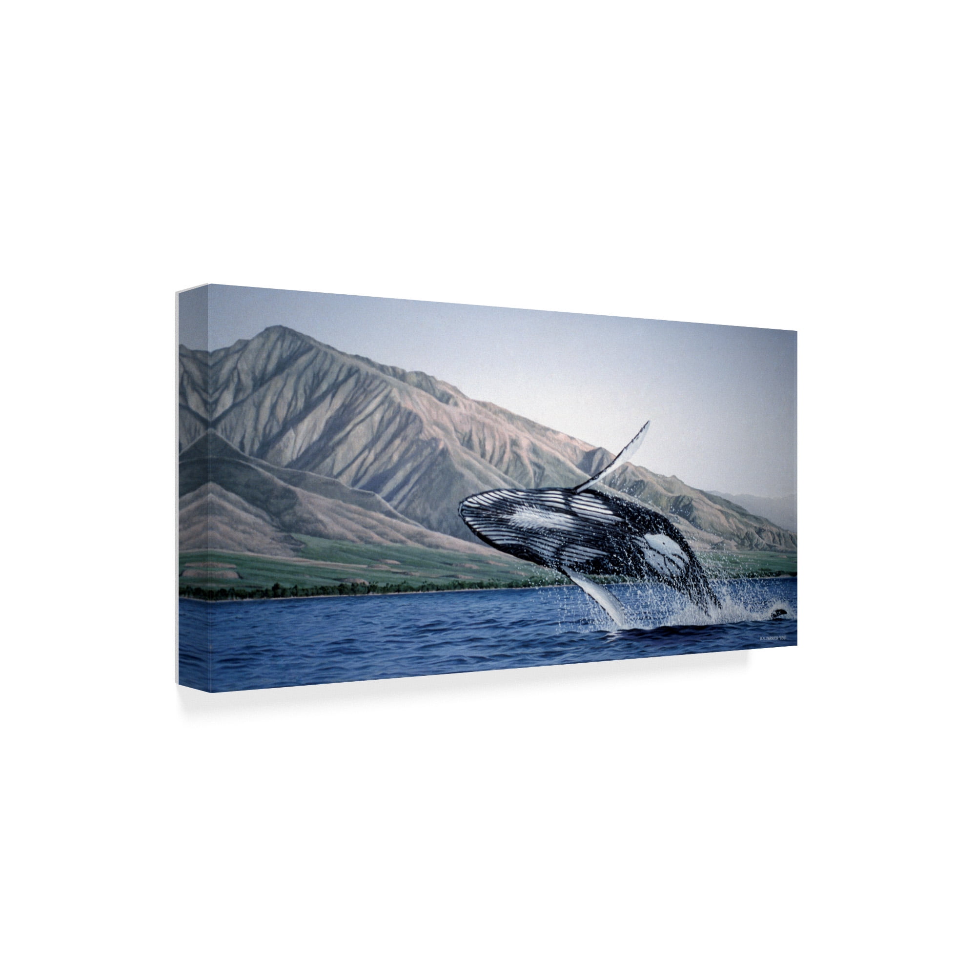 Trademark Fine Art 'Breeching Humpbacks Maui' Canvas Art by Ron Parker