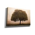 thumbnail image 2 of Epic Graffiti 'The Hopeful Oak' by Debra Van Swearingen, Canvas Wall Art, 18"x12", 2 of 7
