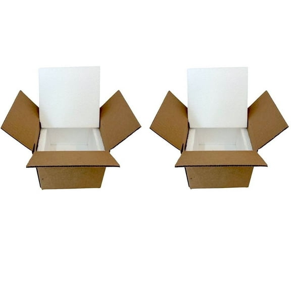 BugzyBugs Shipping Box, Insulated Single Wall Styrofoam Boxes, 7 x 6 x 7 Inches, 2 Count