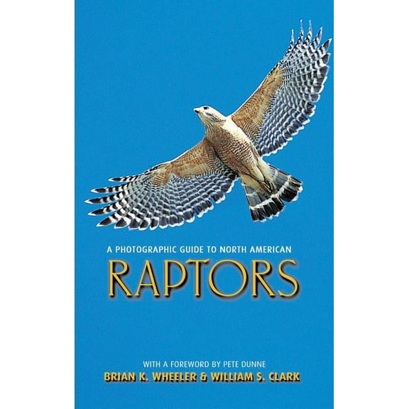 A Photographic Guide to North American Raptors, (Paperback)