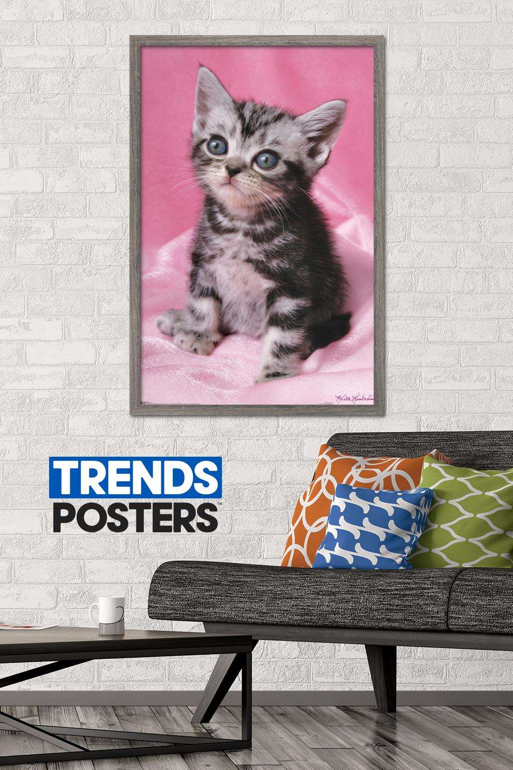 Keith Kimberlin - Kitten - Cute Wall Poster, 22.375" x 34", Framed