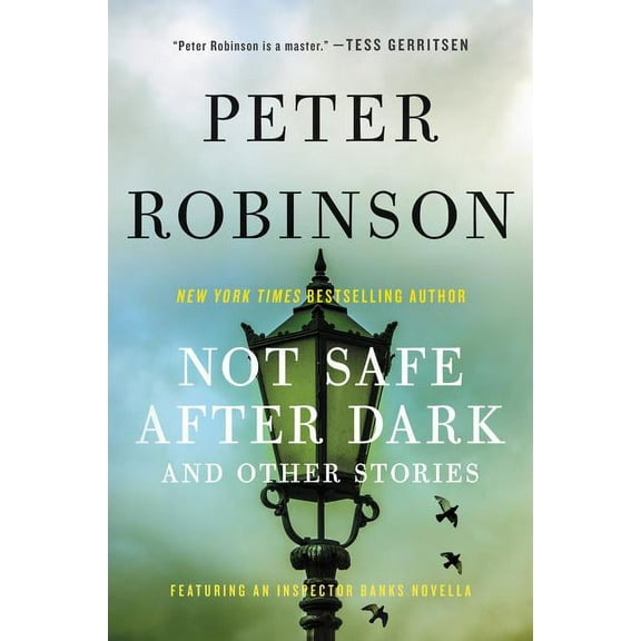 Not Safe After Dark: And Other Stories, (Paperback)