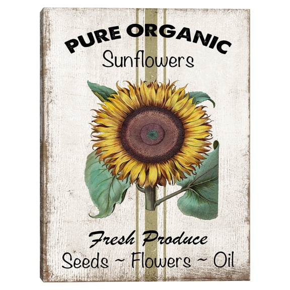 Farmers Market Strawberries by Beth Albert Framed Canvas Wall Art